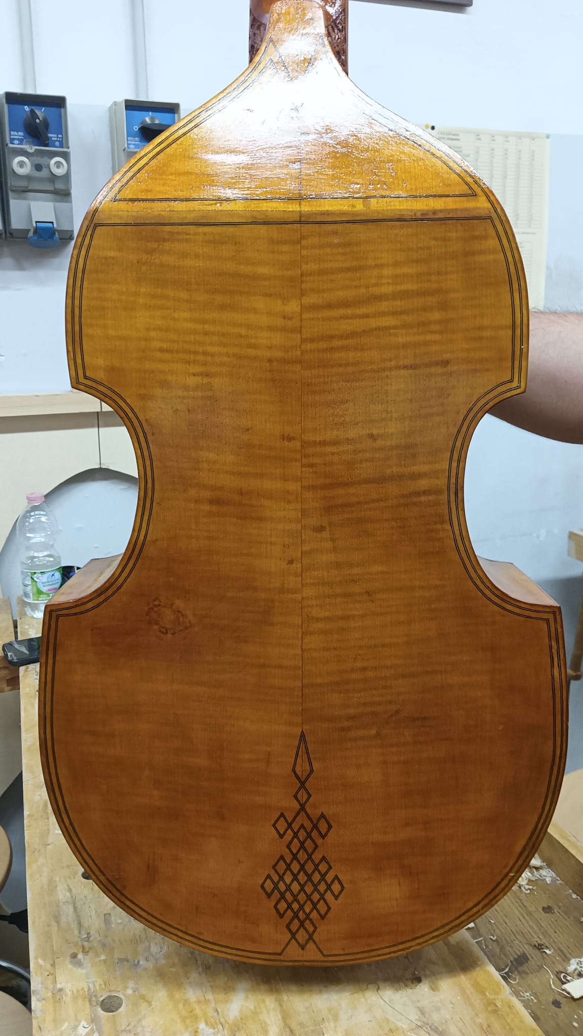 2025:1- Maggiora M. - Viola da gamba basso - immagine 4