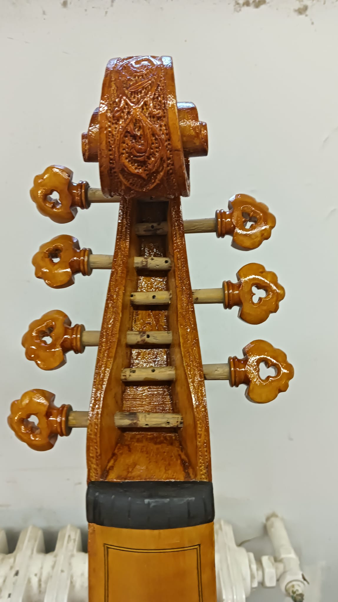 2025:1- Maggiora M. - Viola da gamba basso - immagine 5