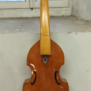 2025:1- Maggiora M. - Viola da gamba basso