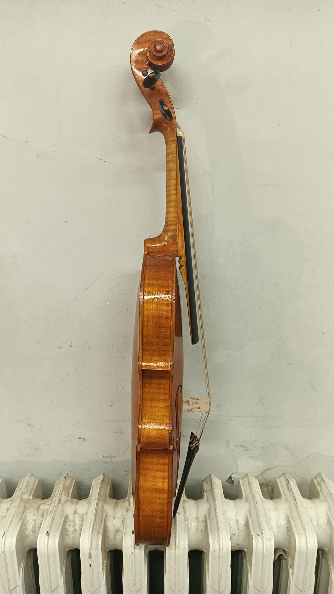 2025:1- Maggiora M. - Viola da gamba basso - immagine 3
